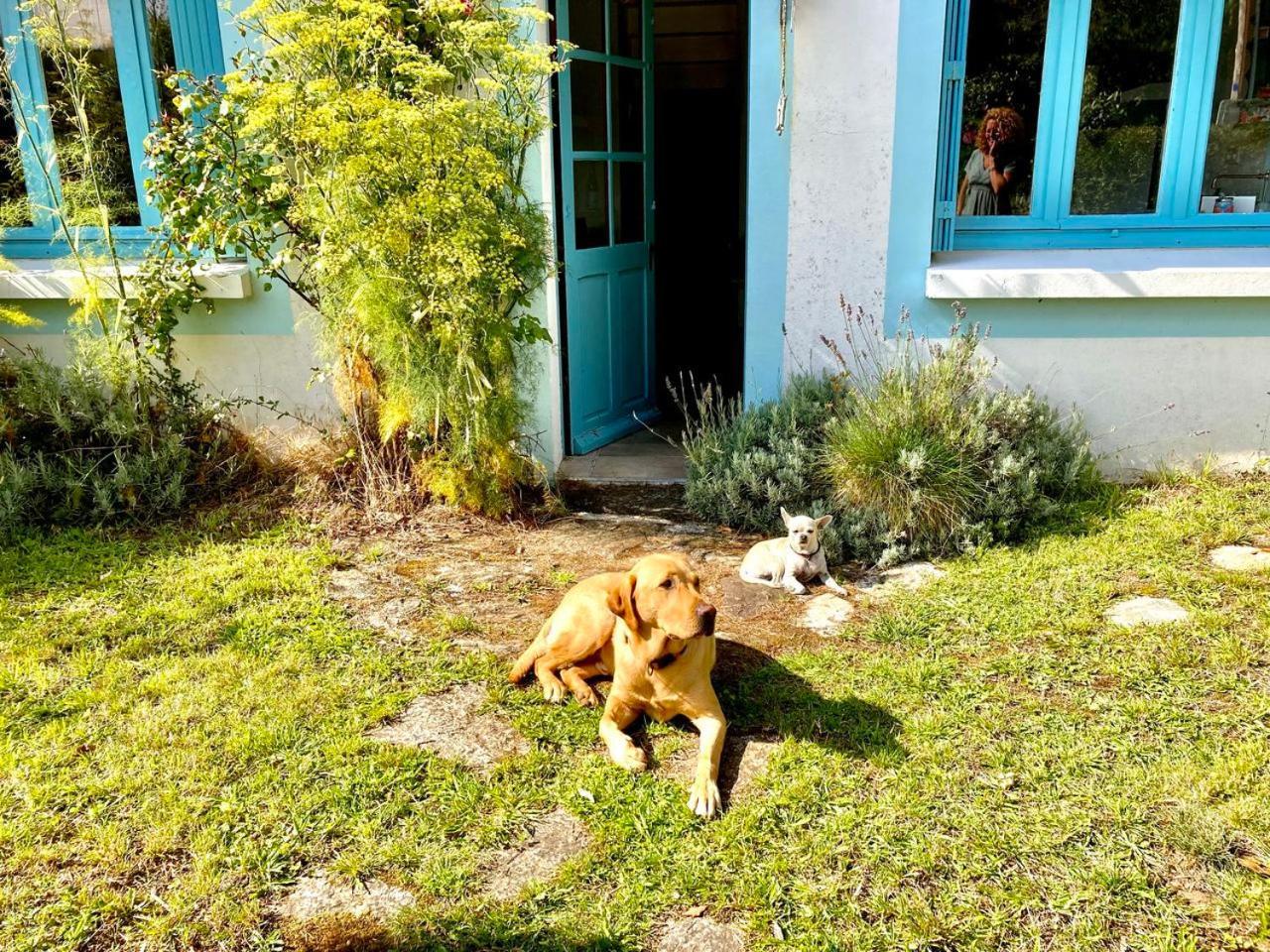 Villa Penty Legona, Authentique Et Chaleureux, 2-6 Pers Moëlan-sur-Mer Esterno foto
